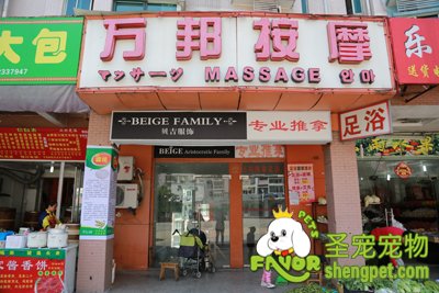 ag真人国际官网宠物店选址