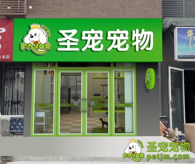 开宠物店该如何选址