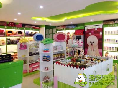 宠物店加盟创业怎么样