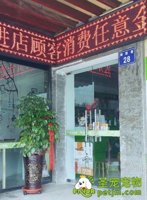 ag真人国际官网宠物宁夏银川宠物店开业优惠活动