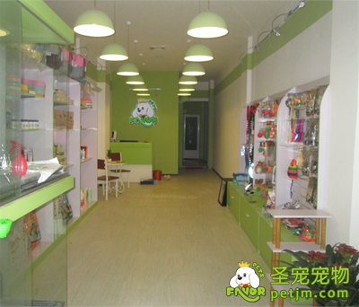 如何开好一家小型宠物加盟店