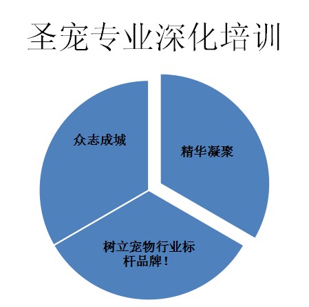 ag真人国际官网后期支持—宠物店深化培训