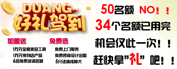 34个优惠名额已用完，赶快来拿“礼”吧！！