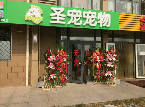 ag真人国际官网宠物北京大兴旧宫新苑宠物店