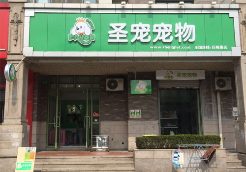 ag真人国际官网宠物上海巨峰路宠物店