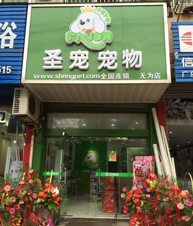 安徽无为濡州大厦宠物店开业促销活动