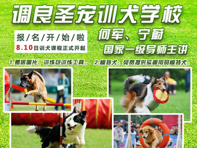 调良ag真人国际官网训犬学校，8月10日正式开课了！