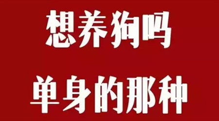 七夕福利，加盟就送“单身狗”，你的“桃花运”来了！