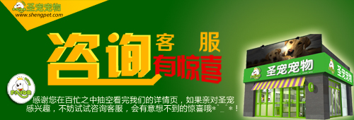 ag真人国际官网培训学校成为中国畜牧业协会及AKC、NGKC协会授权合作单位