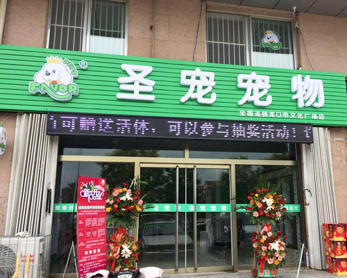 ag真人国际官网（烟台龙口文化广场宠物连锁店）